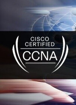 网络工程师与计算机网络技术 构建数字世界的桥梁