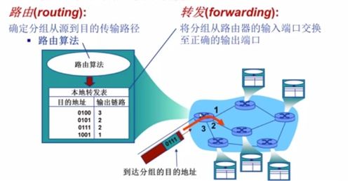 计算机网络技术 连接世界的无形桥梁